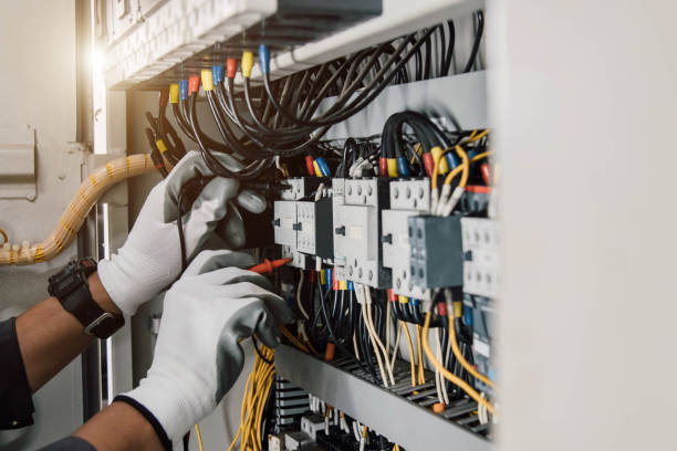 Best Affordable Electrician  in Winter Gardens, CA